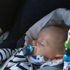 PIC 097